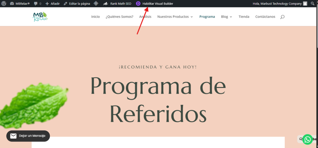 reCAPTCHA en Divi