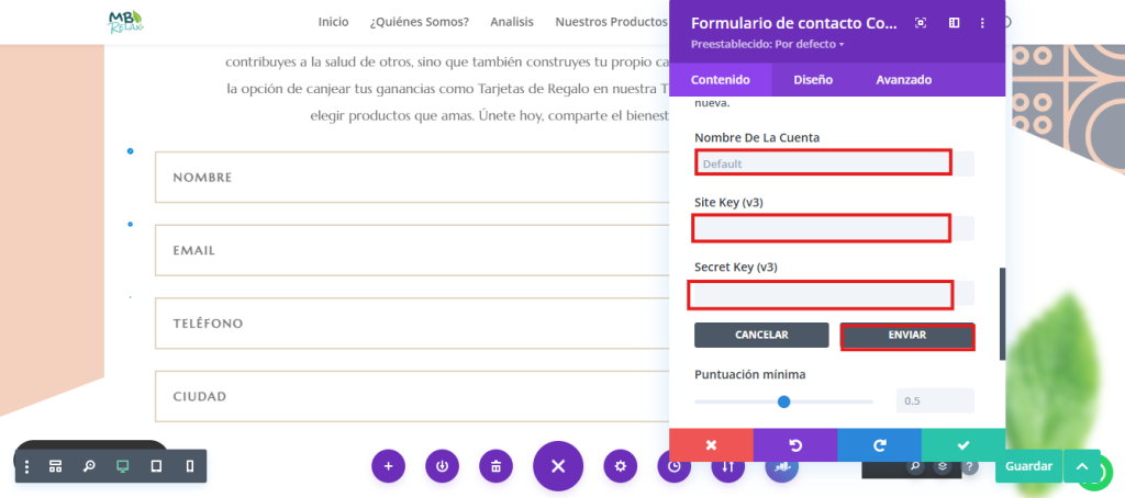 reCAPTCHA en Divi